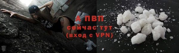 гидра Лагань