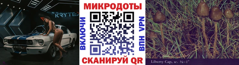 Галлюциногенные грибы Psilocybe  дарк нет состав  Минеральные Воды 